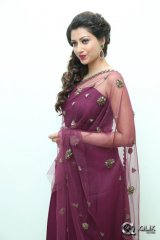 Hamsa Nandini at Bengal Tiger Movie Audio Launch